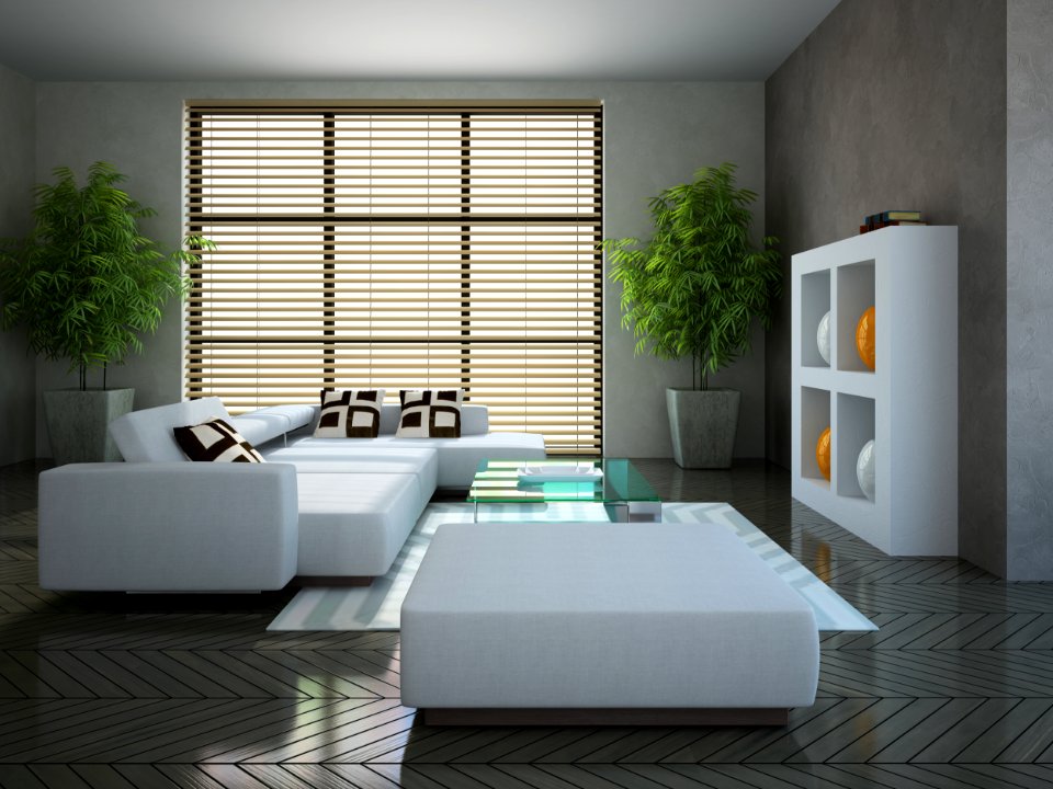 Modern interior with two plants