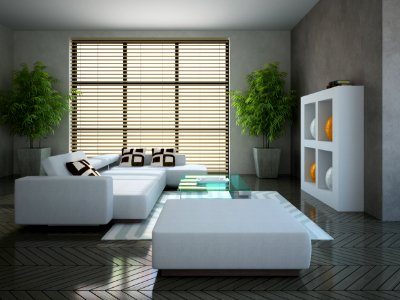 Modern interior with two plants