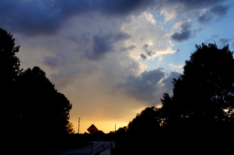 DSC02977