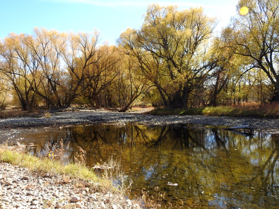 Springer Natural Area - Fort Collins.