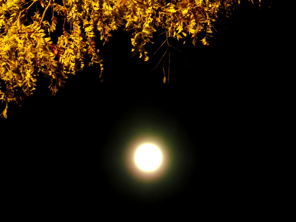 Blue moon, green moon, yellow moon. Tonight's full moon in Fort Collins, Colorado