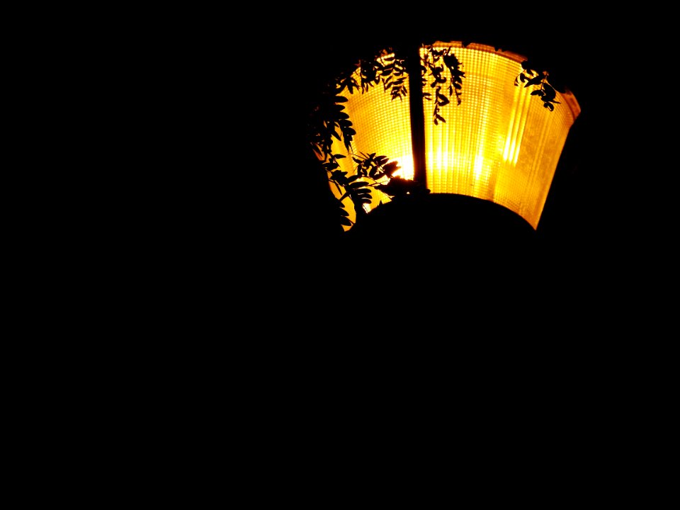 Blue moon, green moon, yellow moon. Tonight's full moon in Fort Collins, Colorado