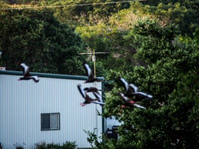 Blanco, Texas