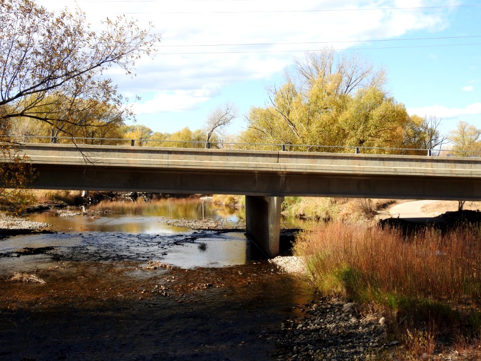 Springer Natural Area - Fort Collins.