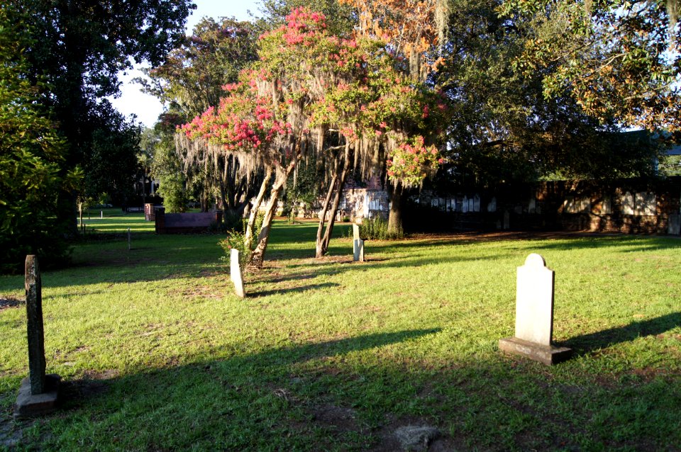 DSC01210