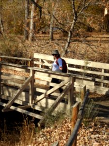 Springer Natural Area - Fort Collins.