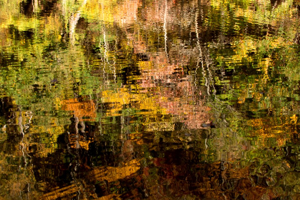 Day 312 - “Autumn carries more gold in its pocket than all the other seasons.” - Jim Bishop