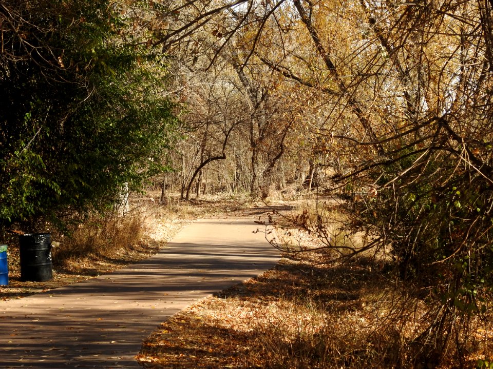 Springer Natural Area - Fort Collins.