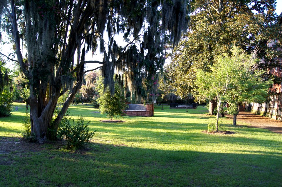 DSC01218