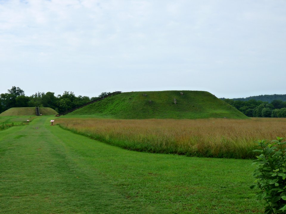 P1010973