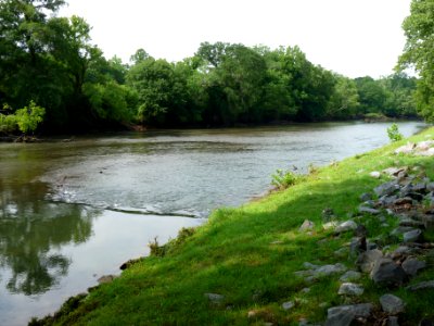 P1010942