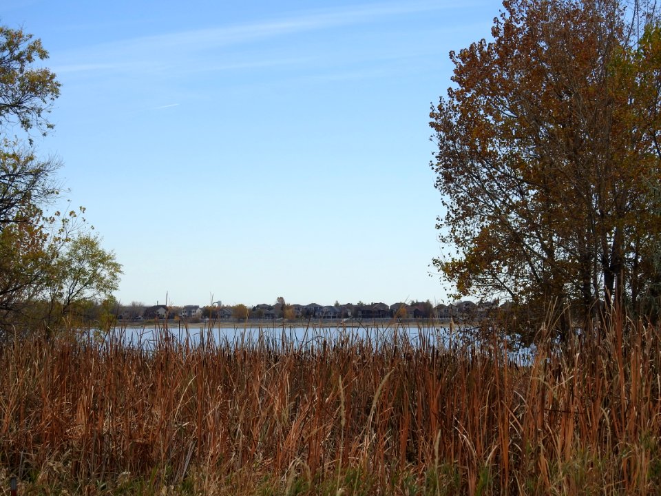 On the trail at Boyd Lake State Pk - Loveland, CO.