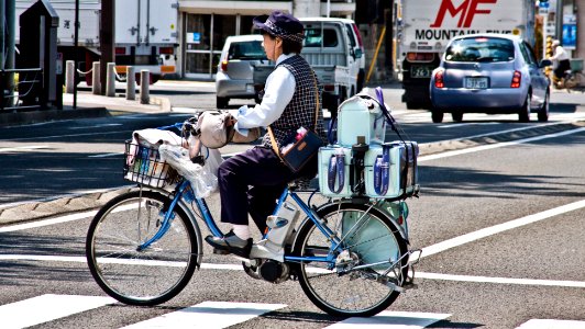 Fukushima Yoghurt Delivery photo