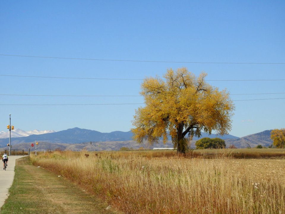 On the trail at Boyd Lake State Pk - Loveland, CO.