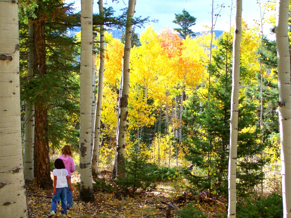 Girls Hiking in Aspens, Mosca Pass, Great Sand Dunes National Preserve