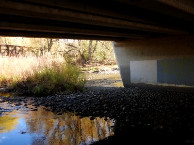 Springer Natural Area - Fort Collins.