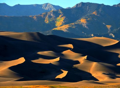 Patches of Gold Aspens Above Dunes, Two Hikers