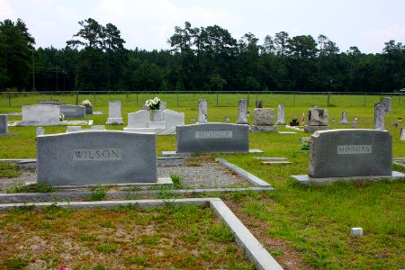 Ryall Cemetery - Clyo, GA