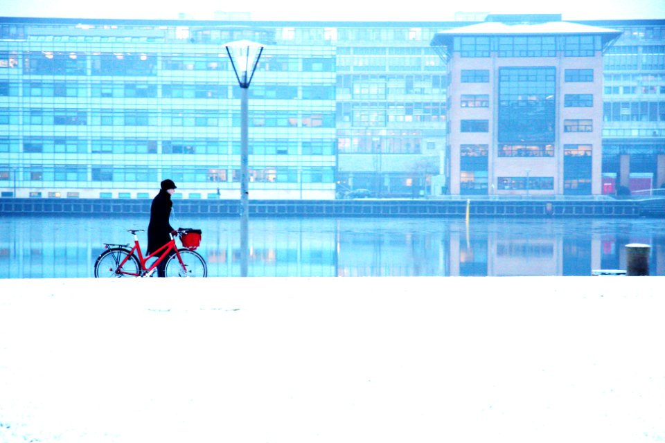 Winter Harbour - Cycling in Winter in Copenhagen