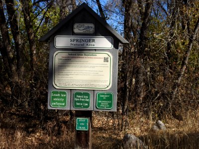 Springer Natural Area - Fort Collins.