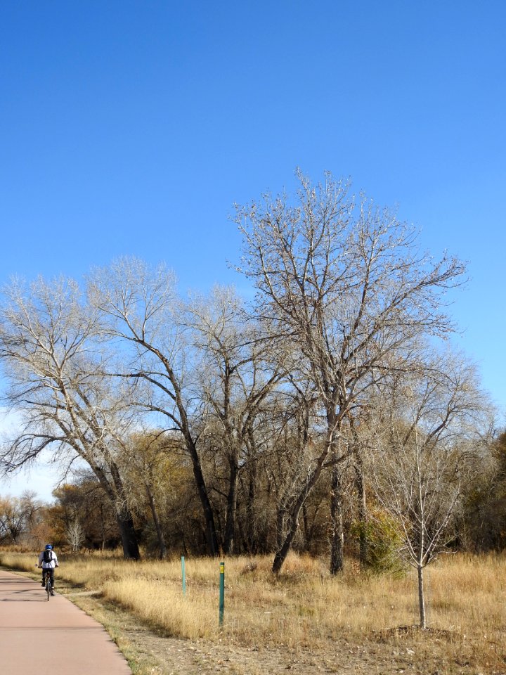Springer Natural Area - Fort Collins.