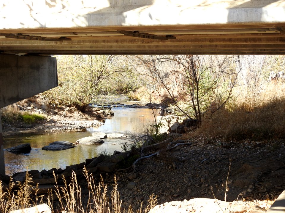Springer Natural Area - Fort Collins.