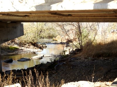Springer Natural Area - Fort Collins.
