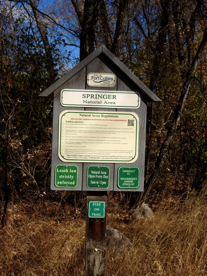Kingfisher Point Natural Area and Springer