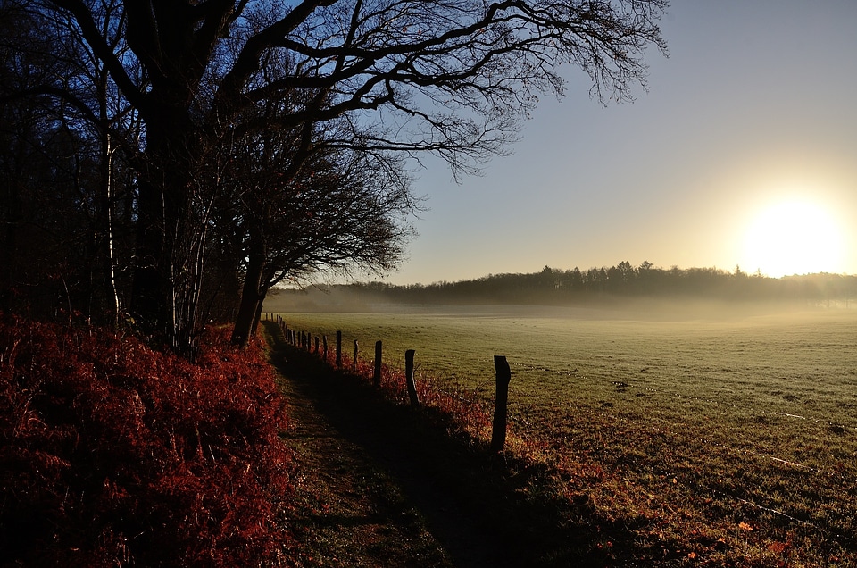 Duvenstedter brook sunrise pasture