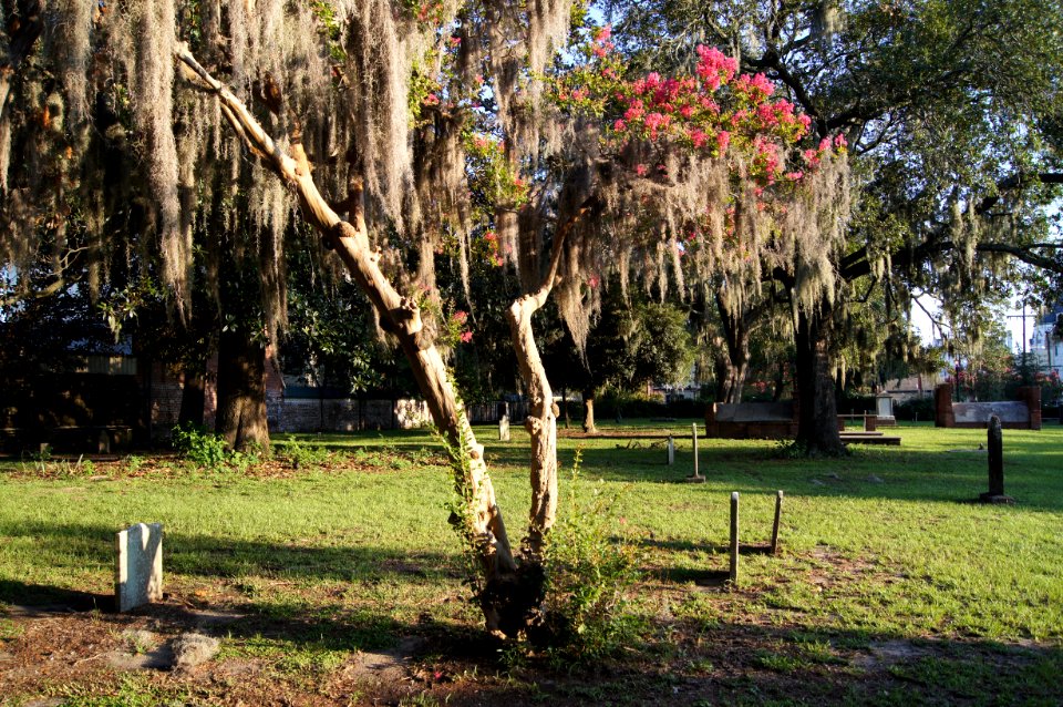 DSC01212