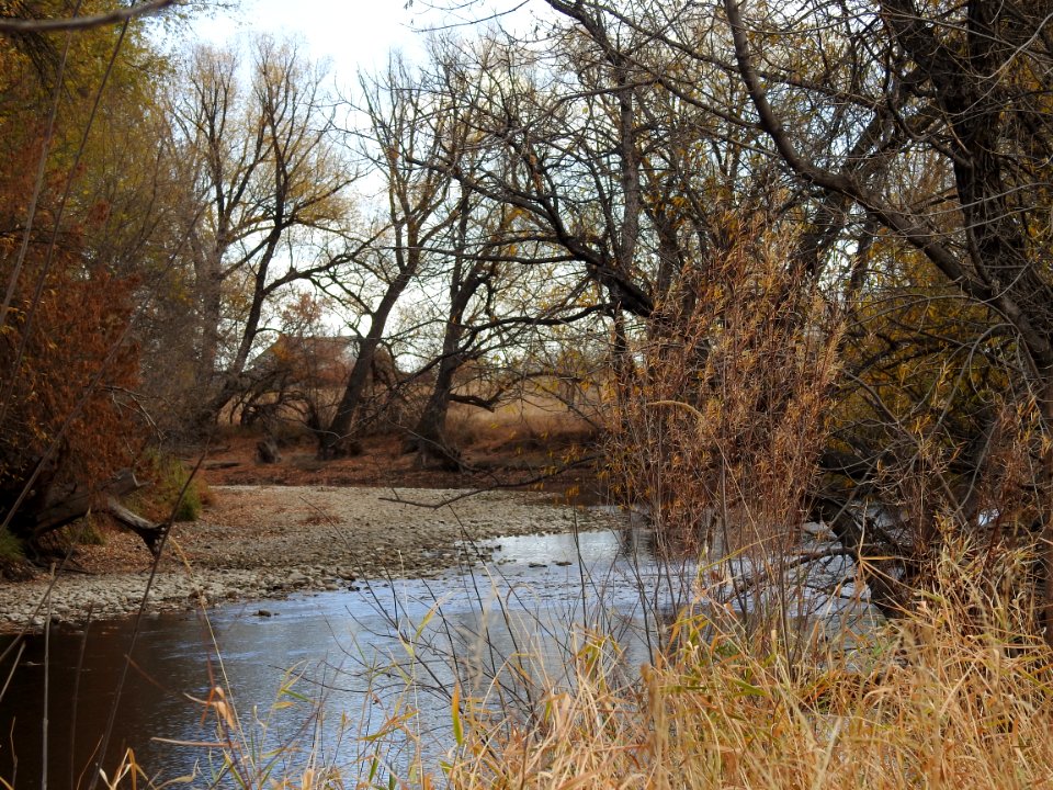 Kingfisher Point Natural Area and Springer