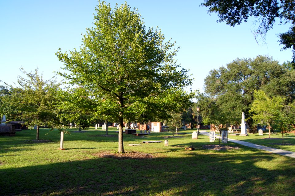 DSC01190