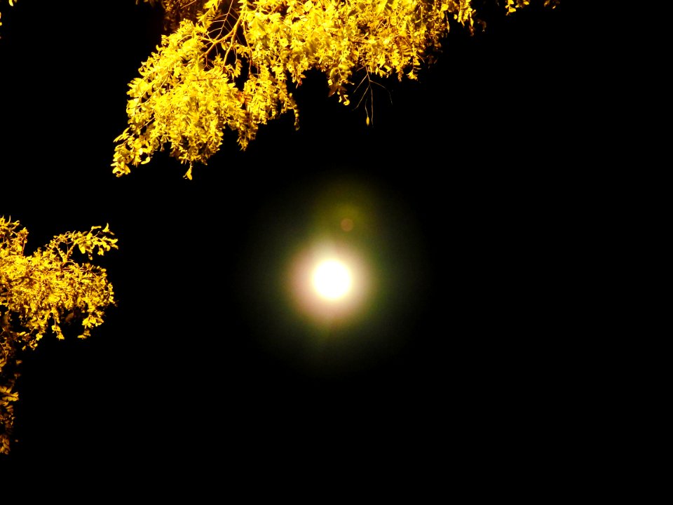 Blue moon, green moon, yellow moon. Tonight's full moon in Fort Collins, Colorado