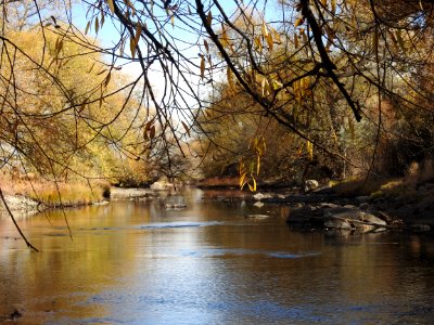Springer Natural Area - Fort Collins.