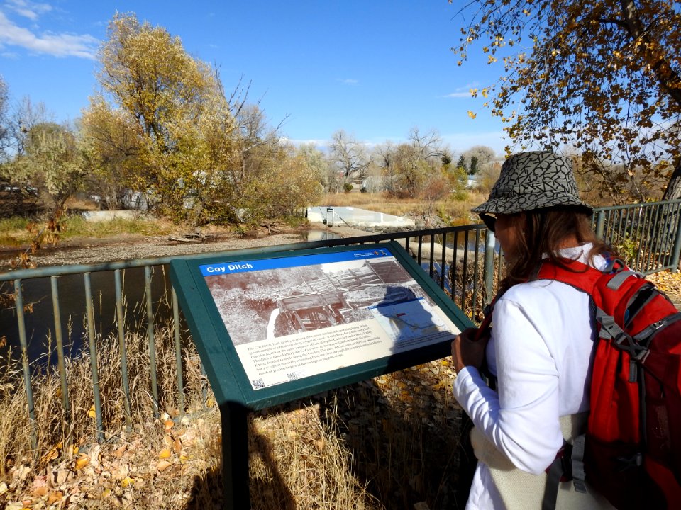 Springer Natural Area - Fort Collins.