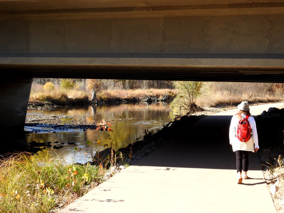 Springer Natural Area - Fort Collins.