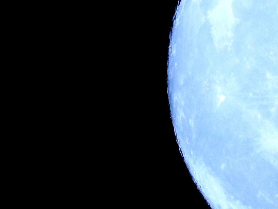 The Supermoon from our garden