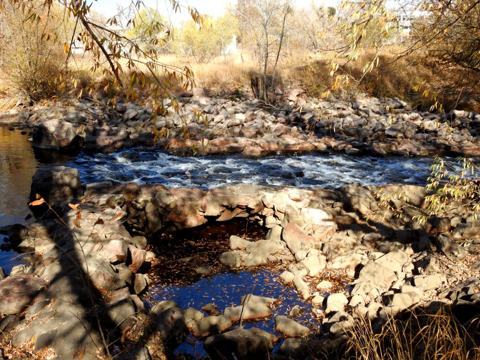 Springer Natural Area - Fort Collins.
