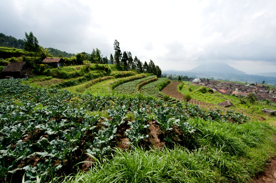 Ndakan, Java, Indonesia