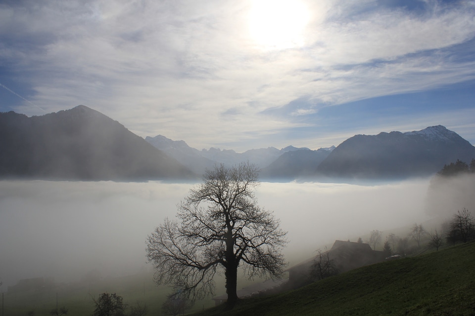 Landscape fog lucerne