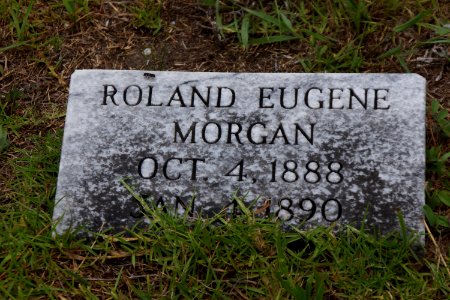Ryall Cemetery - Clyo, GA