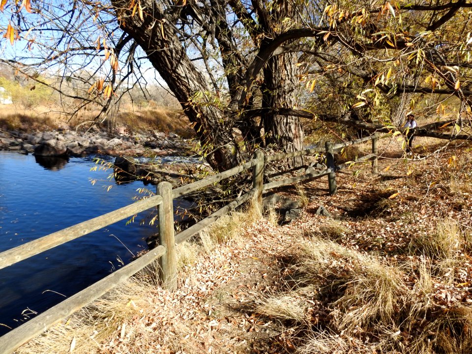 Springer Natural Area - Fort Collins.