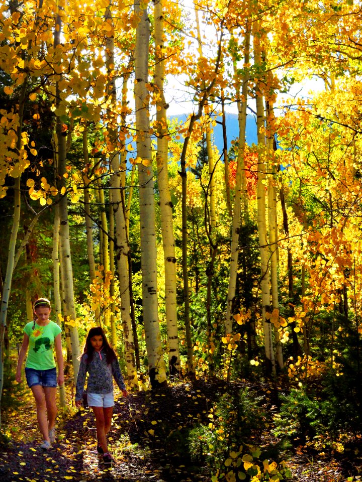 Girls Hiking Gold Aspens