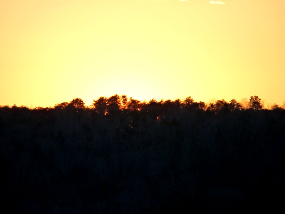 P1010290