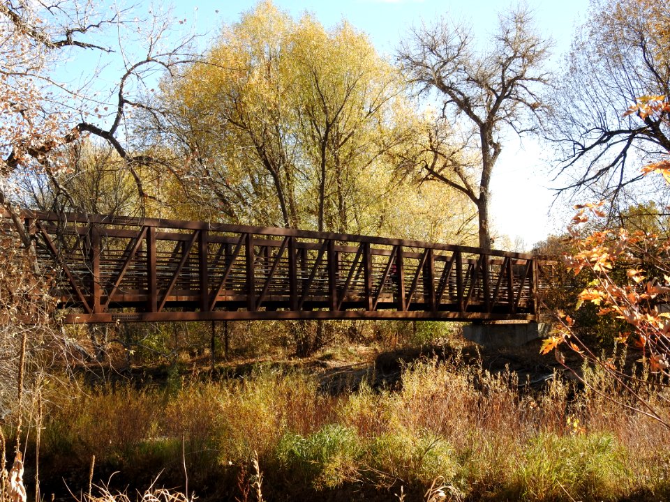 Springer Natural Area - Fort Collins.