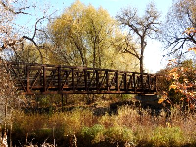 Springer Natural Area - Fort Collins.