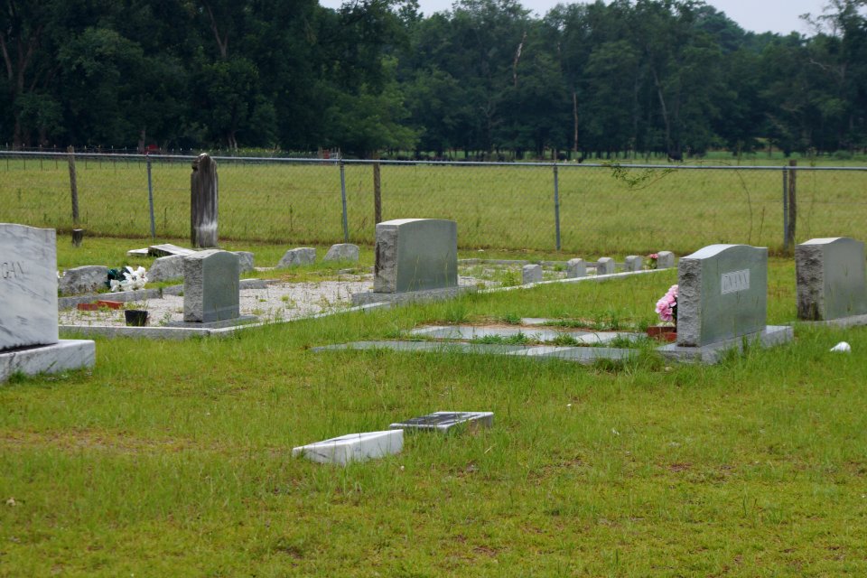 Ryall Cemetery - Clyo, GA