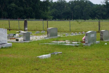 Ryall Cemetery - Clyo, GA