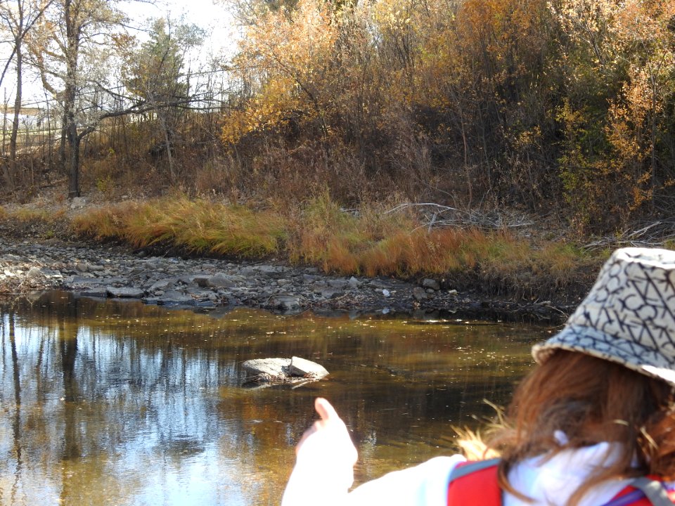 Springer Natural Area - Fort Collins.