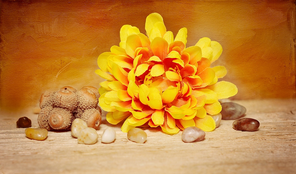 Yellow plastic flower fabric flower photo